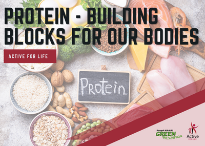 Protein – Building Blocks For Our Bodies