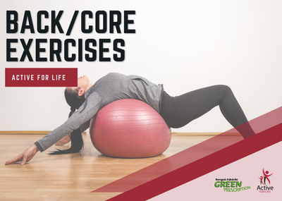 Back/ Core Exercises