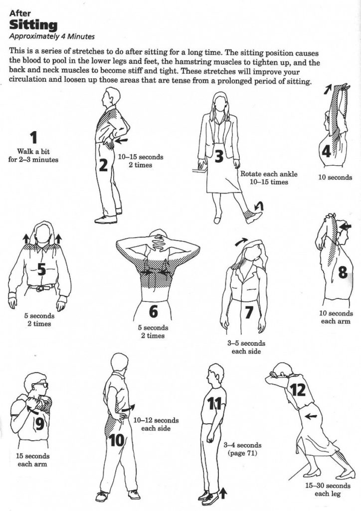 Stretching Guide | Harbour Sport