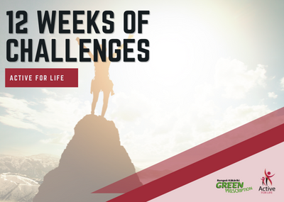 12 Weeks of Challenges